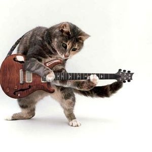 Meet your Posher, Jeff